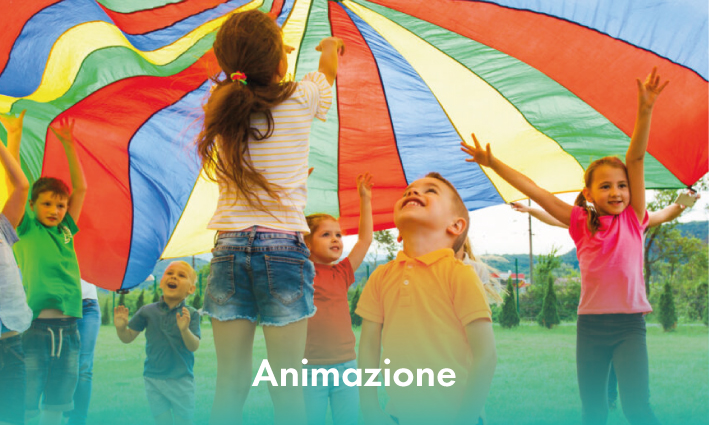 animazione---sito