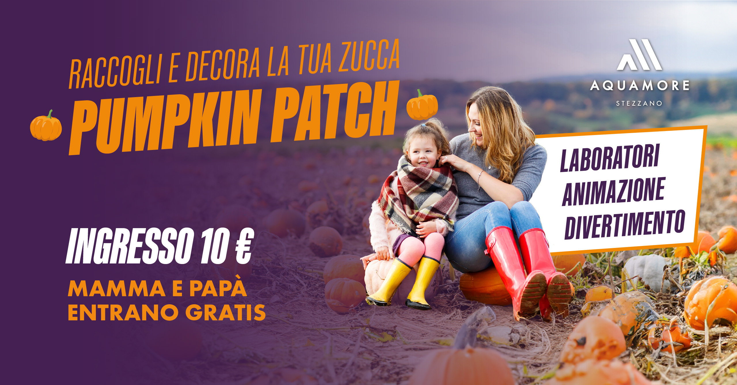 23_09 - Landing page Punpkin Catch - Stezzano